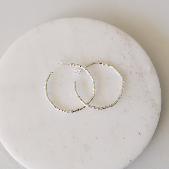 Aylin Earrings - Silver