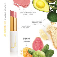 Load image into Gallery viewer, Lip Nourish Guava Blush