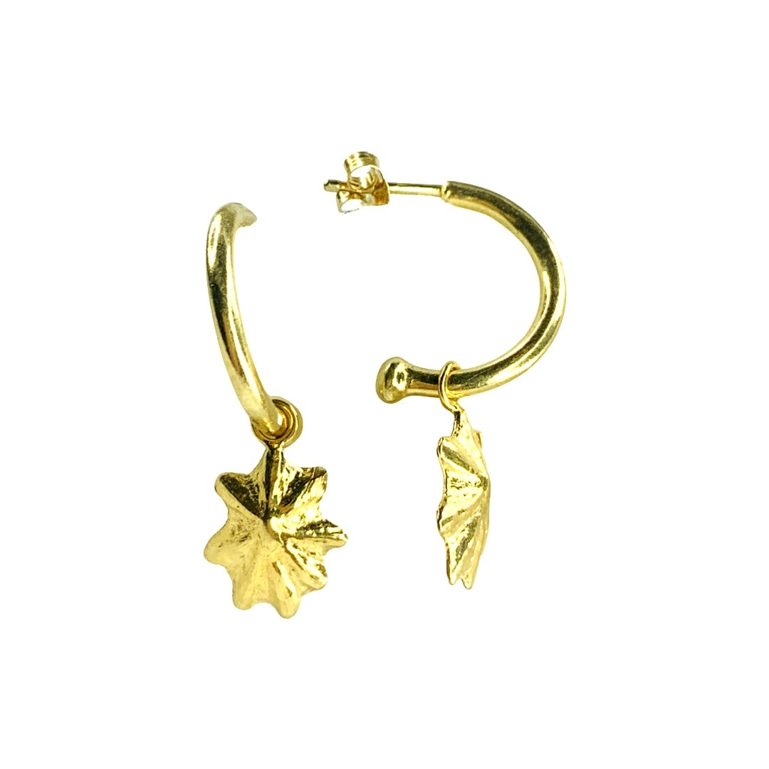 star shell hoop earrings