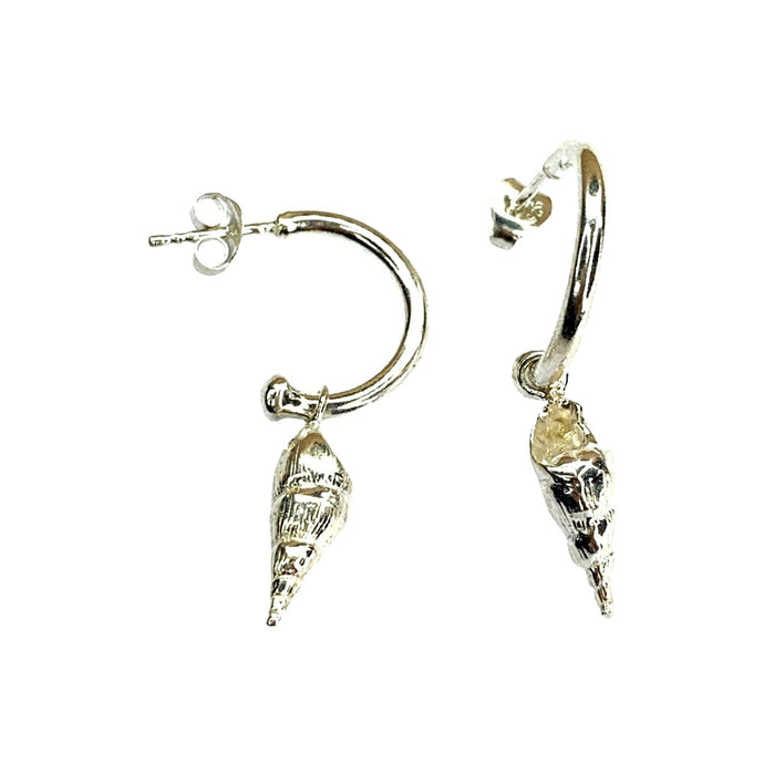 conical shell hoop earrings