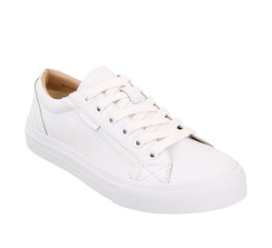Taos Footwear. PLIM SOUL LUX white leather sneaker by Taos. Womens footwear, womens white sneakers, shoe store yamba, white leather sneaker.