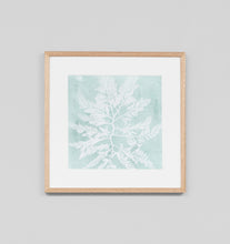Load image into Gallery viewer, Seaweed On Aqua I