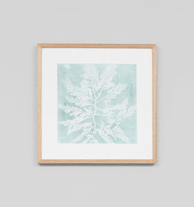Seaweed On Aqua I