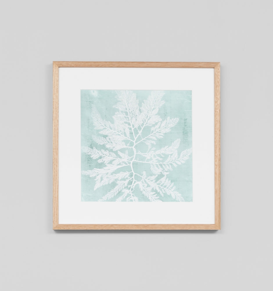 Seaweed On Aqua I