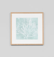 Load image into Gallery viewer, Seaweed On Aqua II